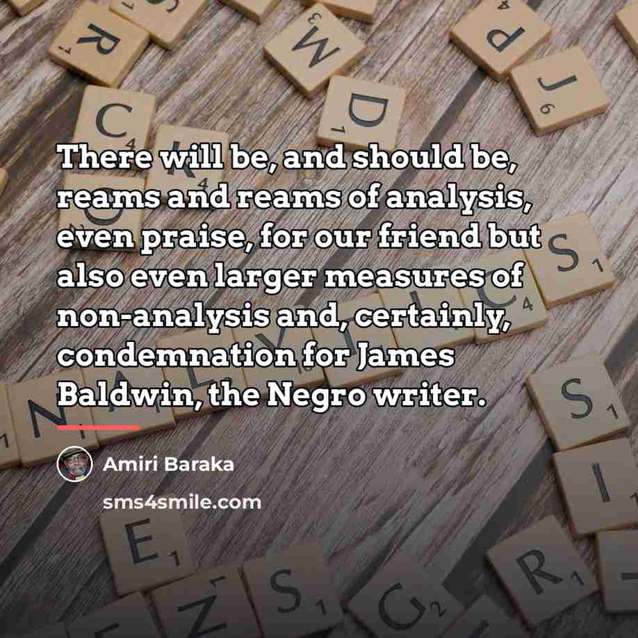 “There will be, and should be, reams and reams of…” quote by Amiri Baraka