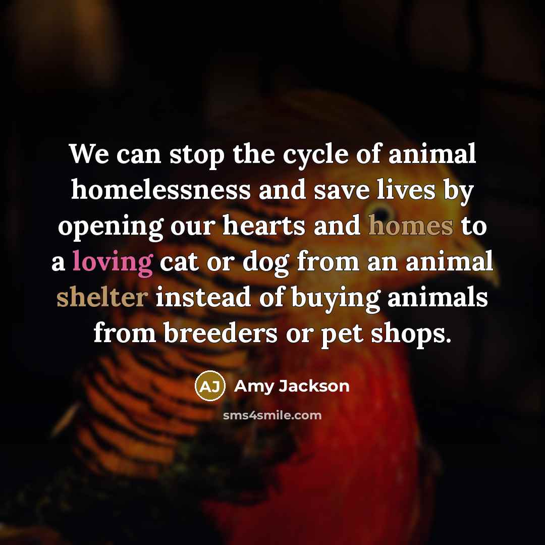 “We can stop the cycle of animal homelessness and save…” quote by Amy Jackson