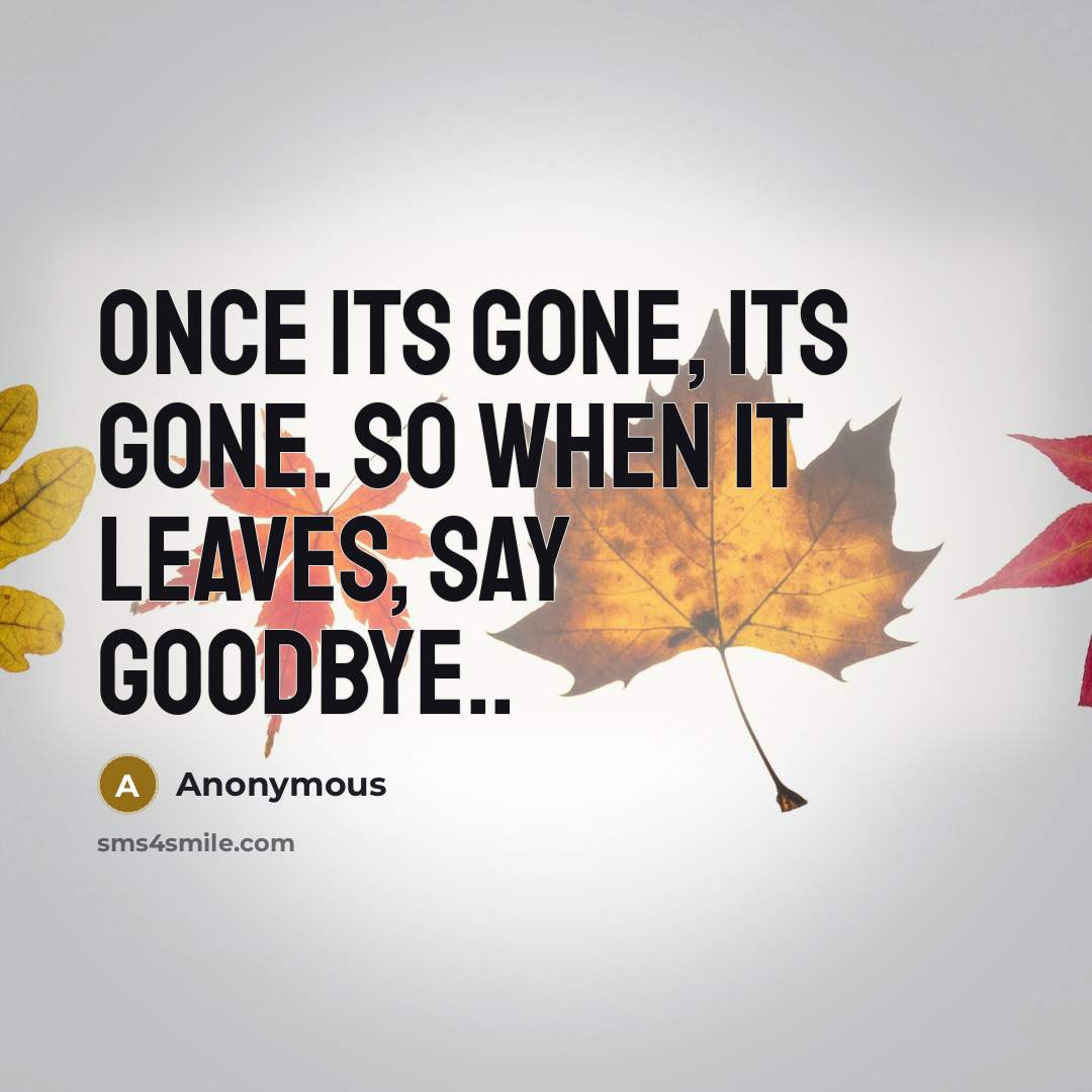 “Once its gone, its gone. So when it leaves, say Goodbye..” quote by Anonymous
