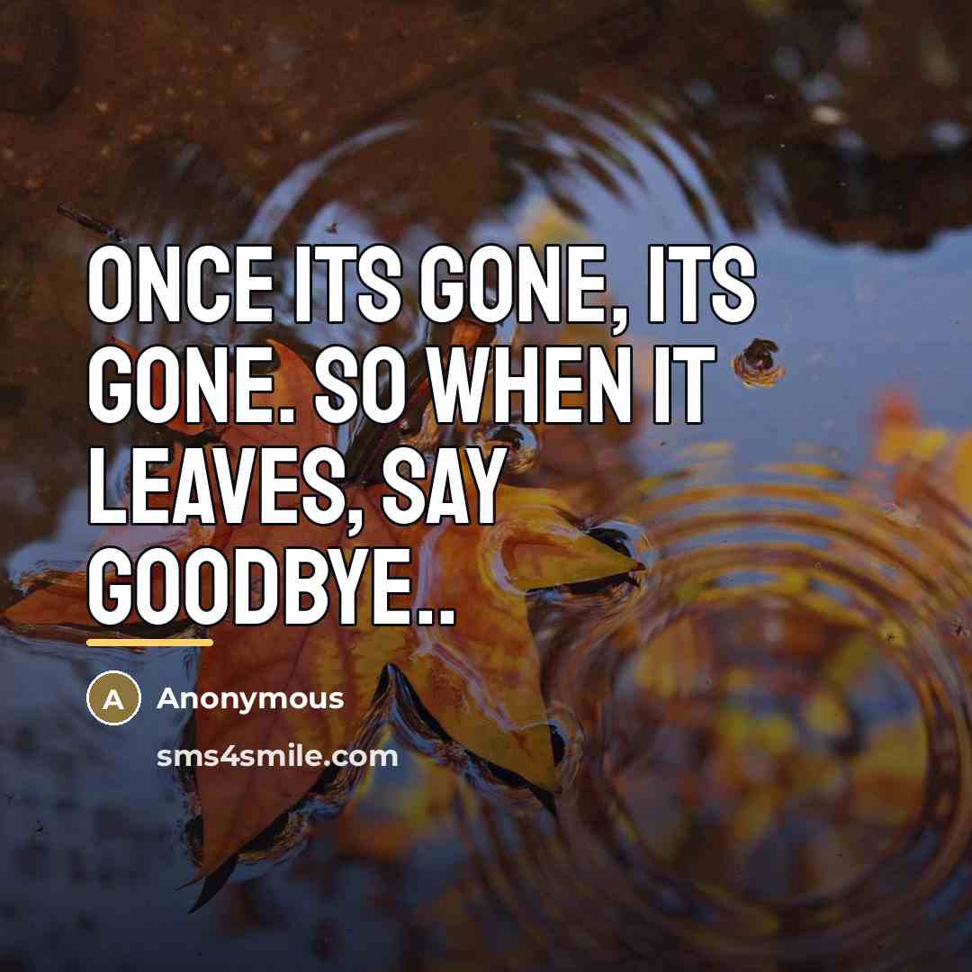 “Once its gone, its gone. So when it leaves, say…” quote by Anonymous