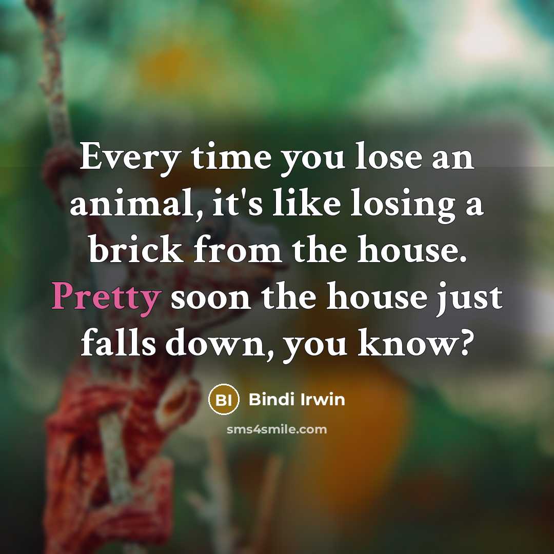 “Every time you lose an animal, it's like losing a…” quote by Bindi Irwin