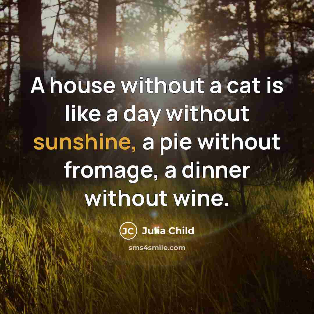“A house without a cat is like a day without…” quote by Julia Child