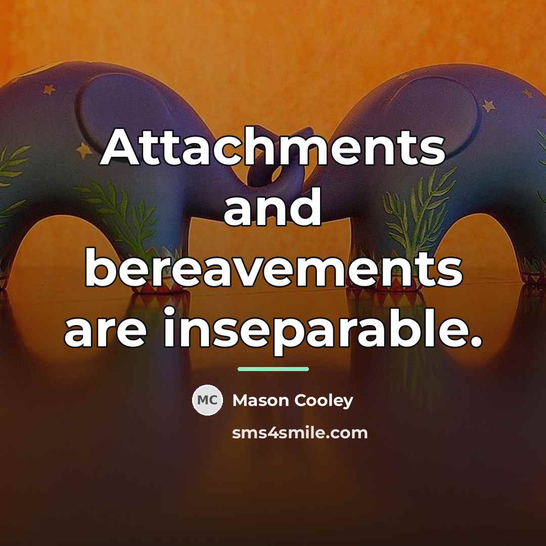 “Attachments and bereavements are inseparable.…” quote by Mason Cooley