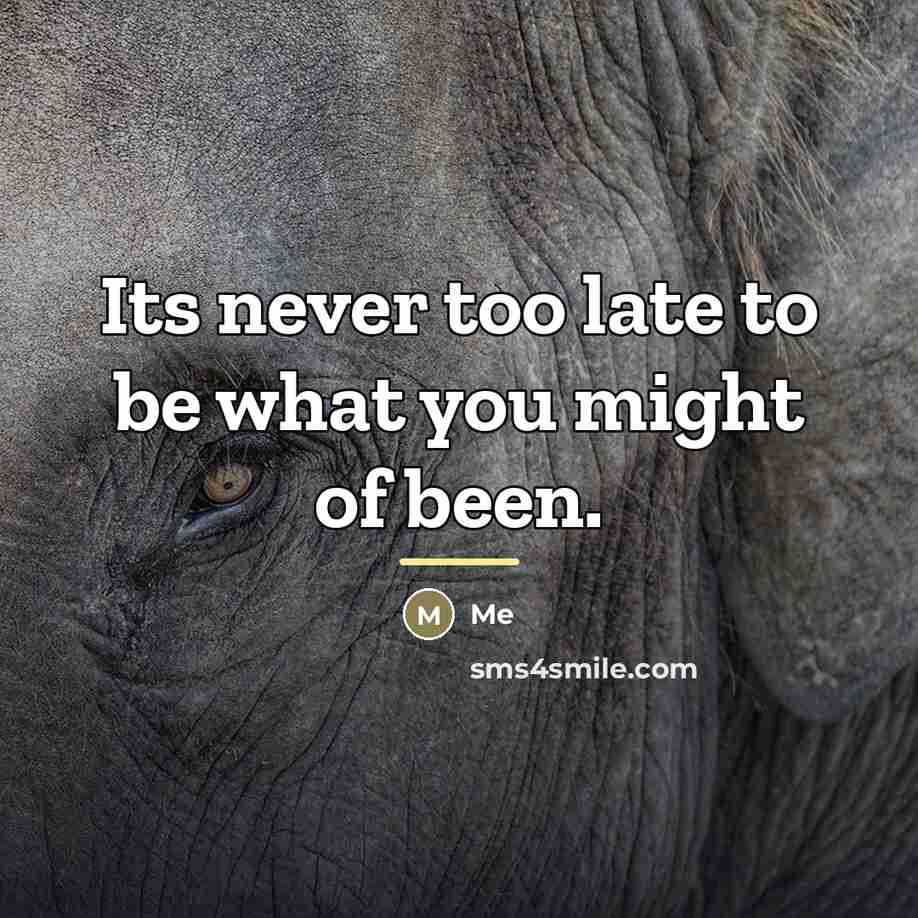 “Its never too late to be what you might of…” quote by Me