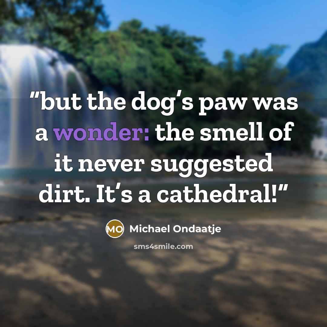 “but the dog’s paw was a wonder: the smell of it never suggested dirt. It’s a cathedral!” quote by Michael Ondaatje