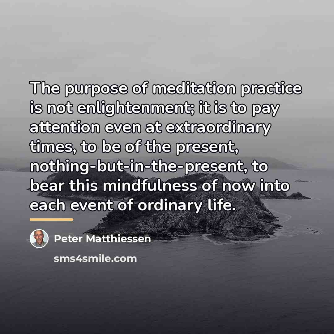 “The purpose of meditation practice is not enlightenment; it is…” quote by Peter Matthiessen
