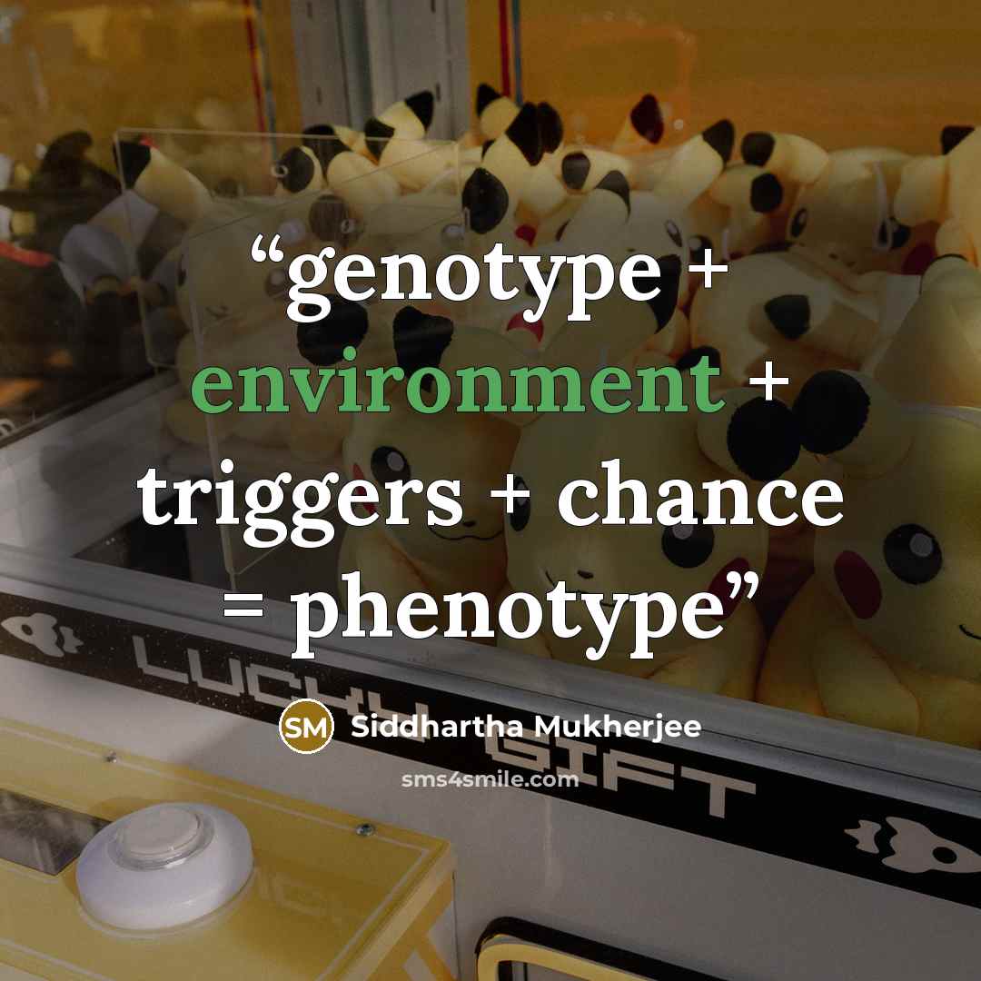 “genotype + environment + triggers + chance = phenotype” quote by Siddhartha Mukherjee
