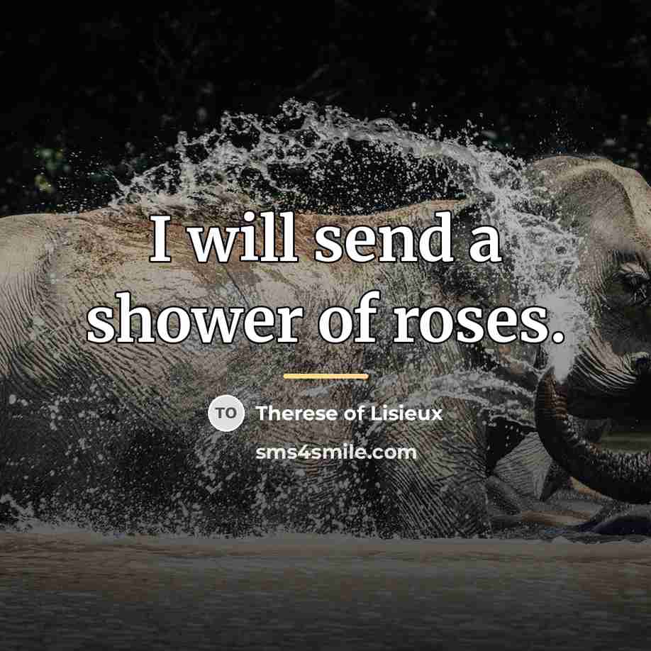 “I will send a shower of roses.…” quote by Therese of Lisieux