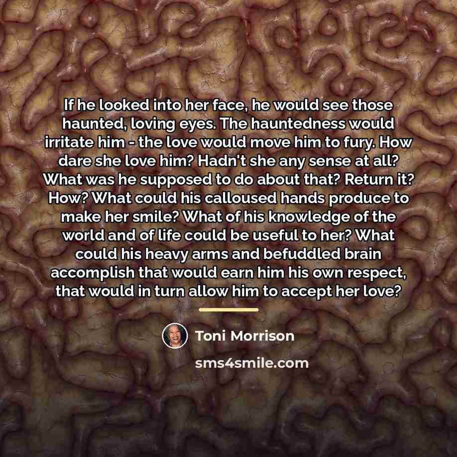 “If he looked into her face, he would see those…” quote by Toni Morrison