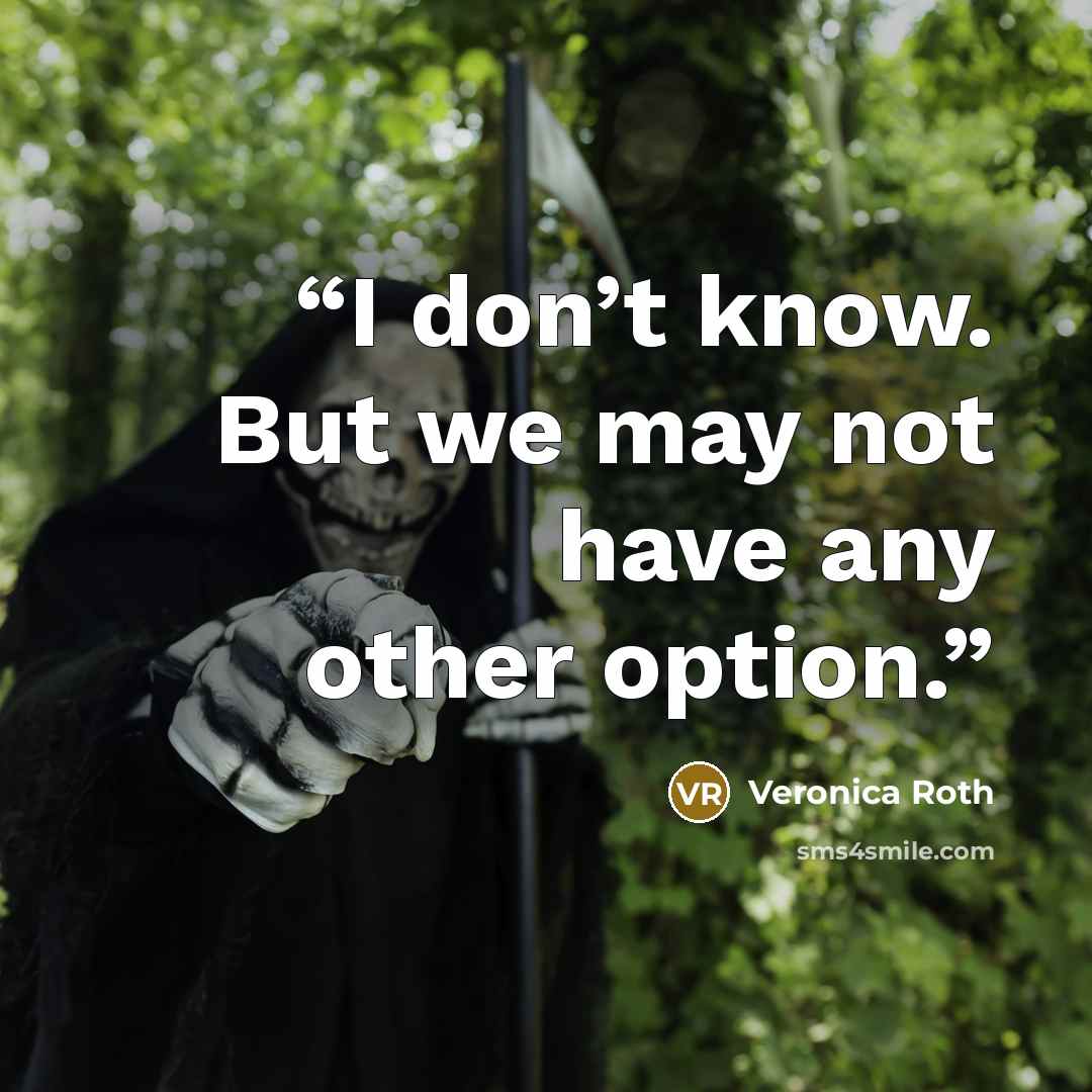 “I don’t know. But we may not have any other option.” quote by Veronica Roth