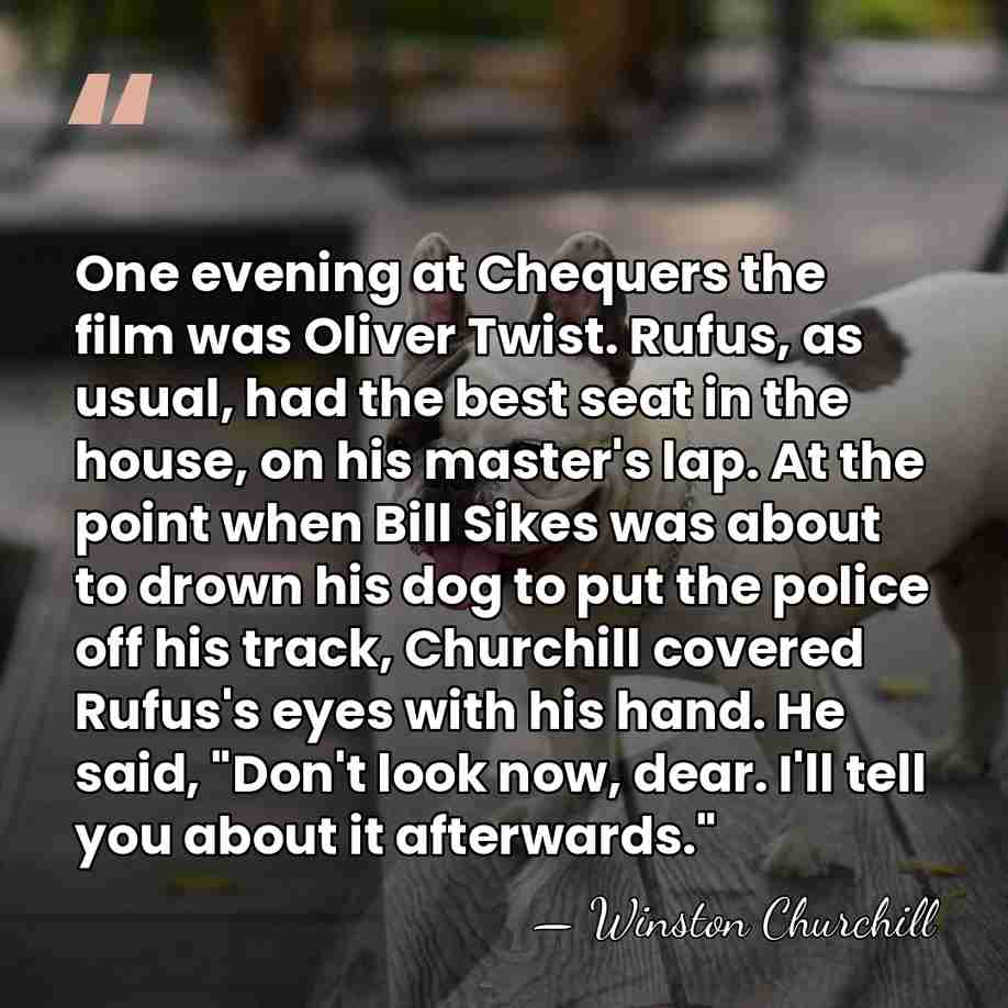 One evening at Chequers the film was Oliver Twist. Rufus, as usual,&hellip; - Winston Churchill