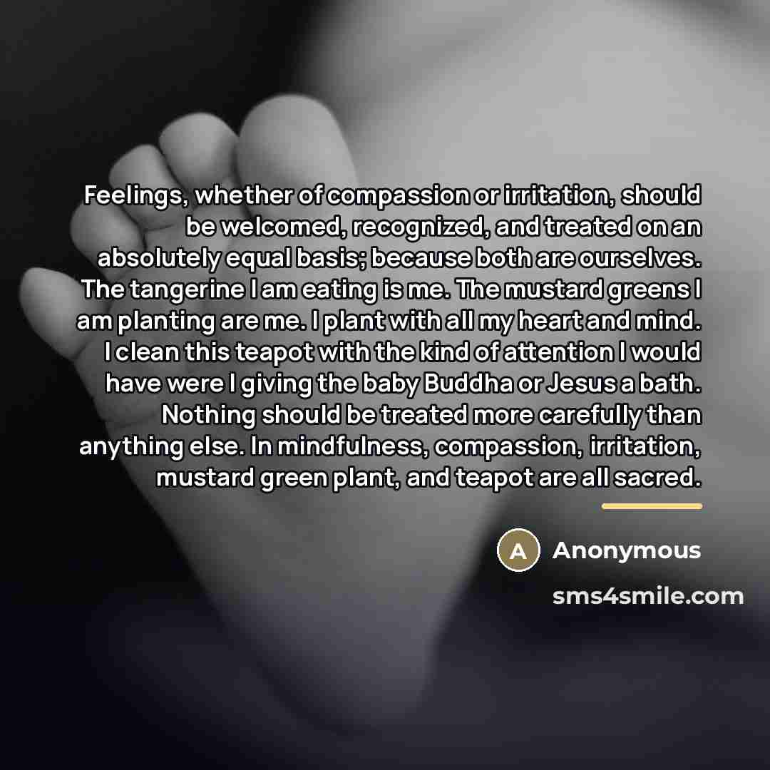 “Feelings, whether of compassion or irritation, should be welcomed, recognized,…” quote by Anonymous