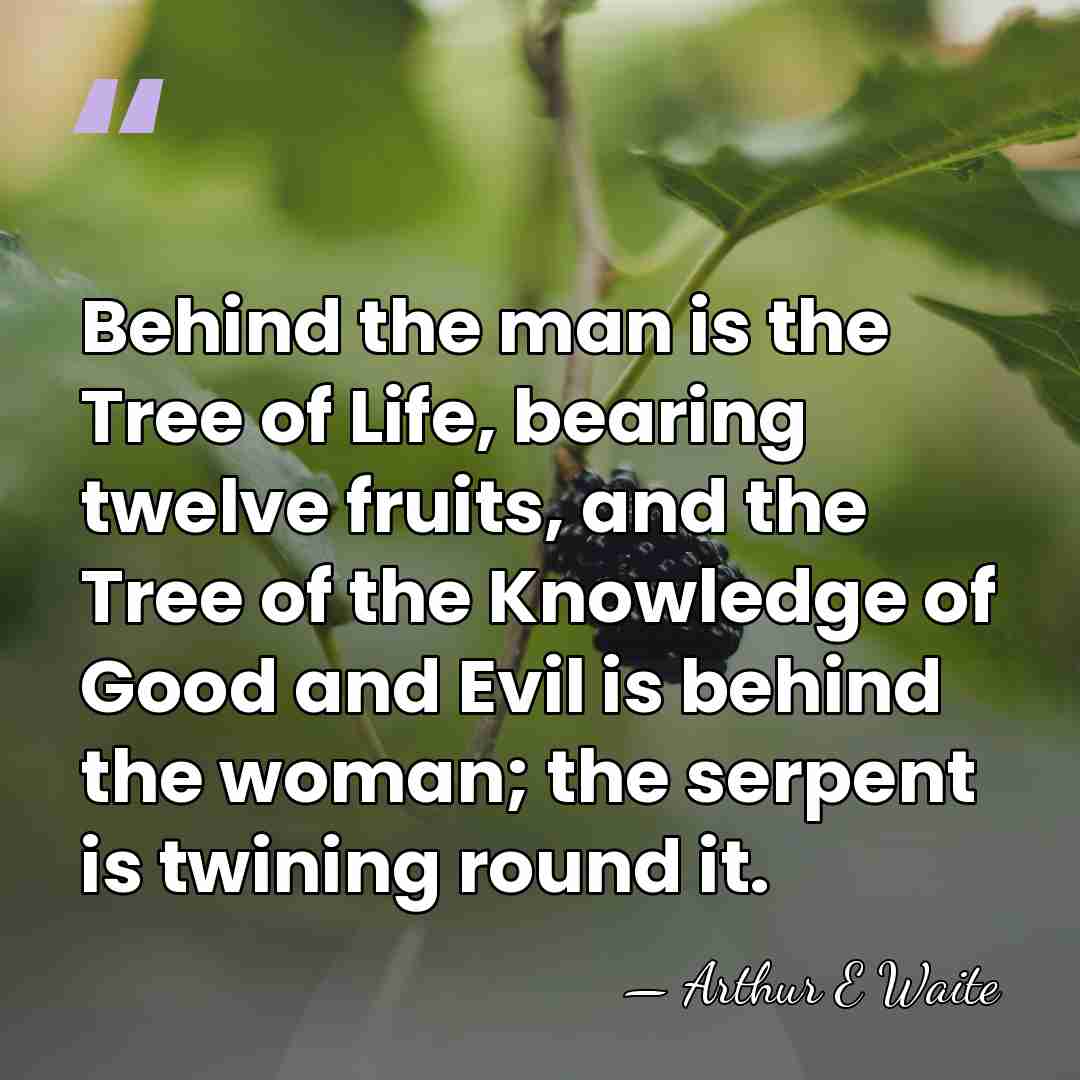 Behind the man is the Tree of Life, bearing twelve fruits, and&hellip; - Arthur E Waite
