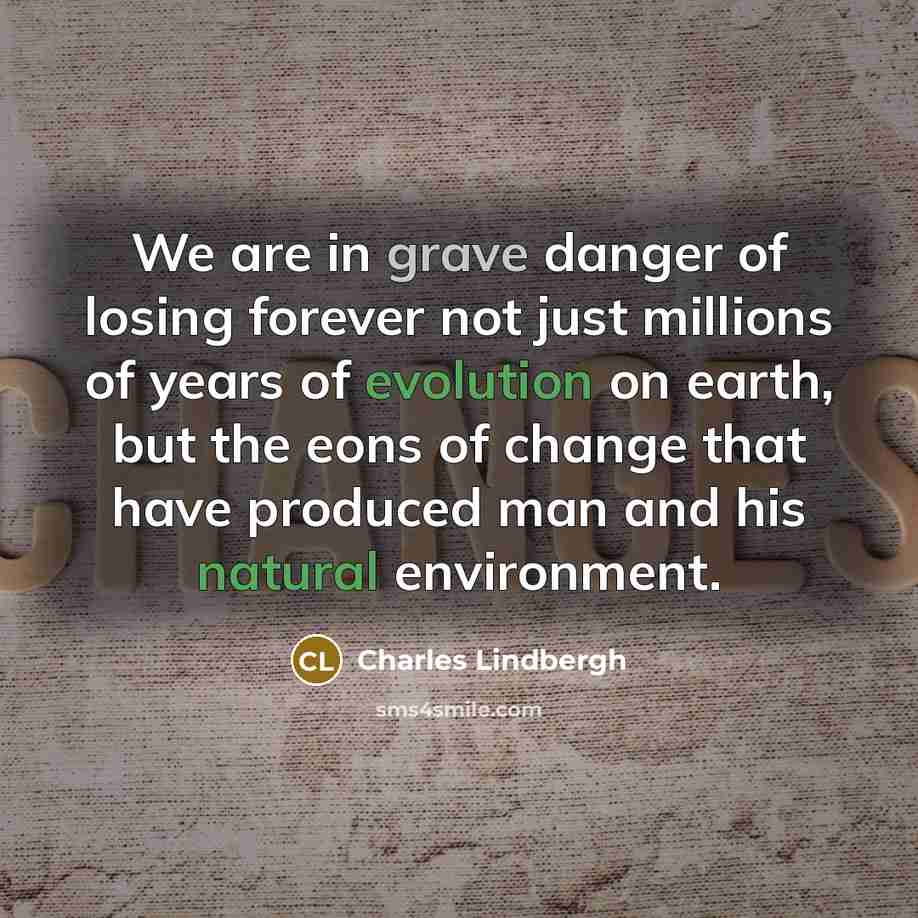 “We are in grave danger of losing forever not just…” quote by Charles Lindbergh