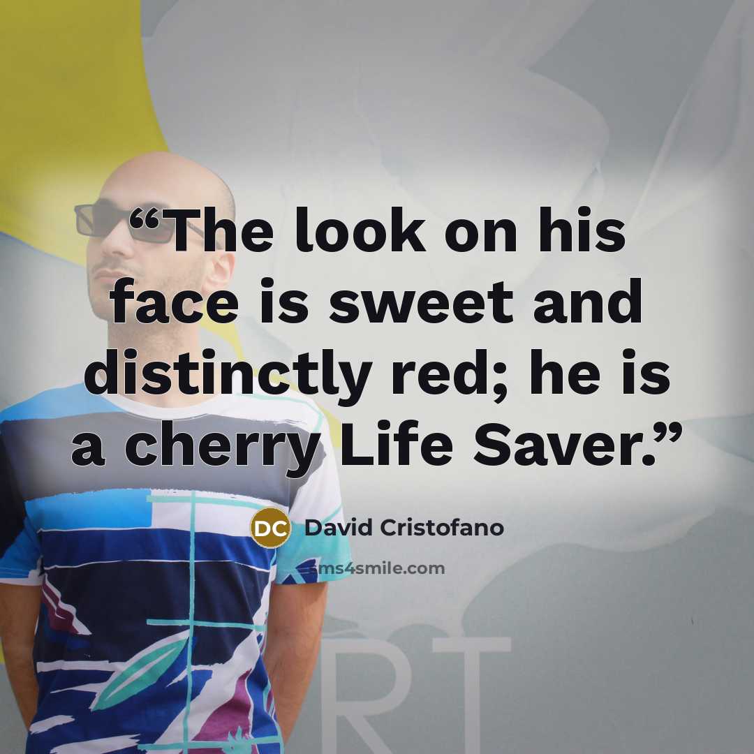“The look on his face is sweet and distinctly red; he is a cherry Life Saver.” quote by David Cristofano