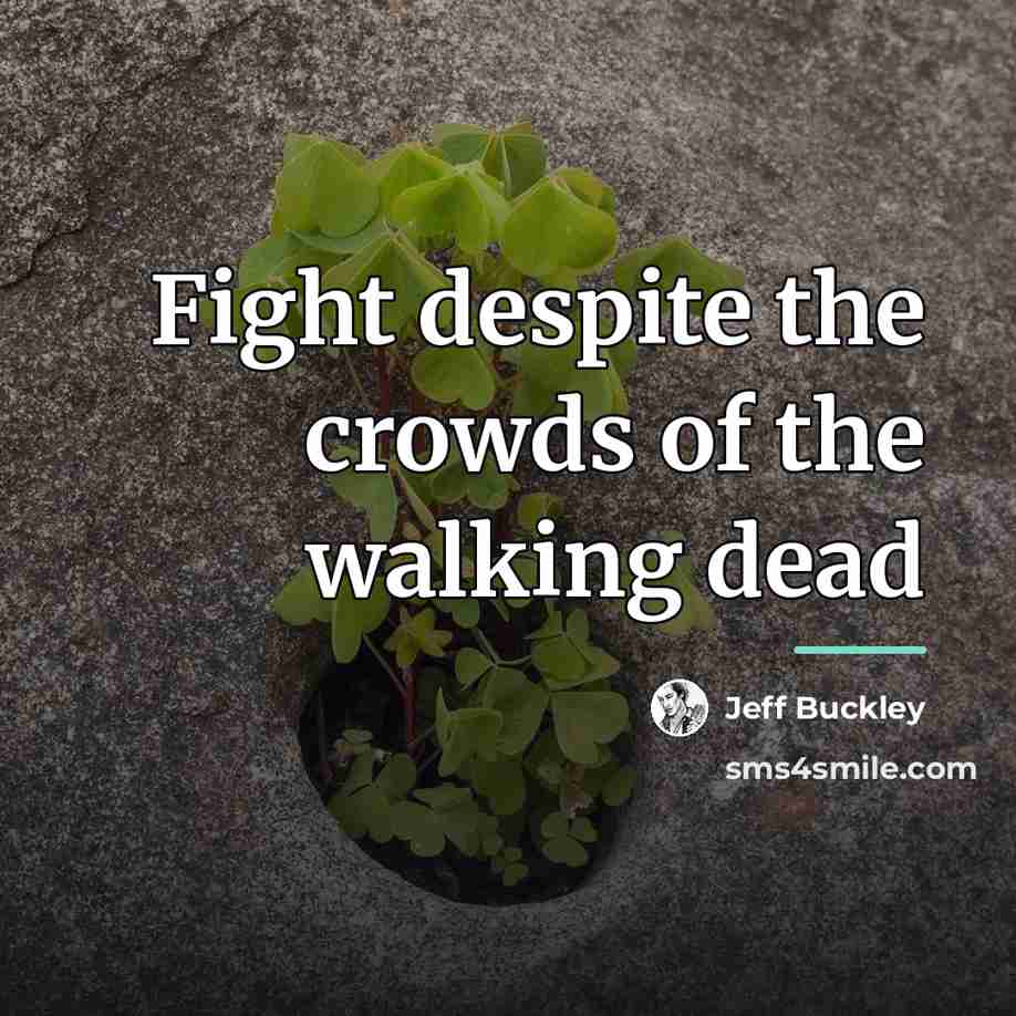 “Fight despite the crowds of the walking dead…” quote by Jeff Buckley