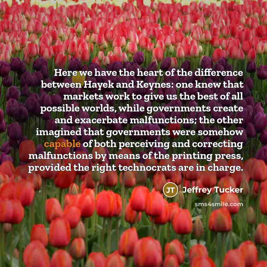 “Here we have the heart of the difference between Hayek…” quote by Jeffrey Tucker