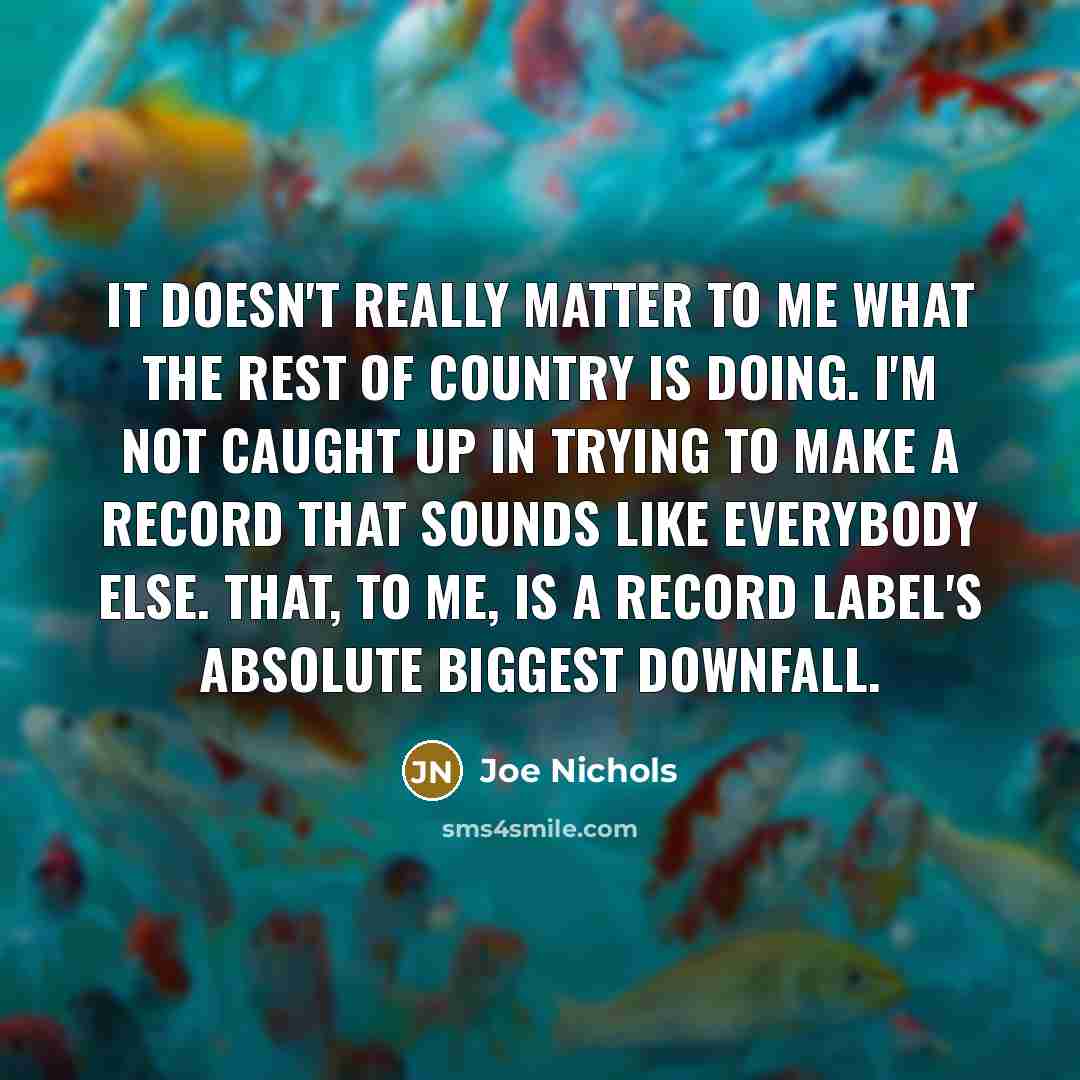 “It doesn't really matter to me what the rest of…” quote by Joe Nichols
