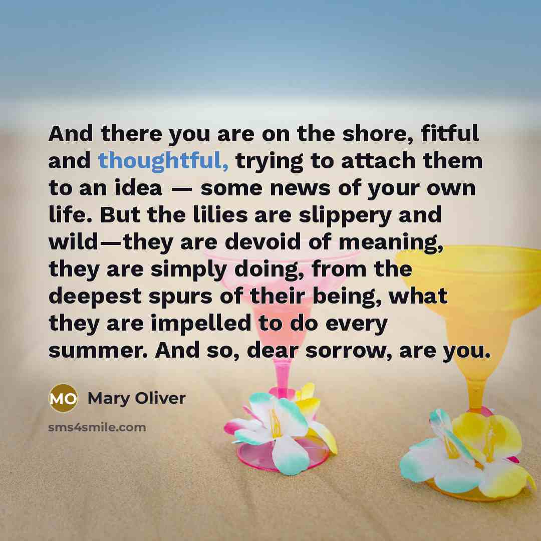 “And there you are on the shore, fitful and thoughtful,…” quote by Mary Oliver