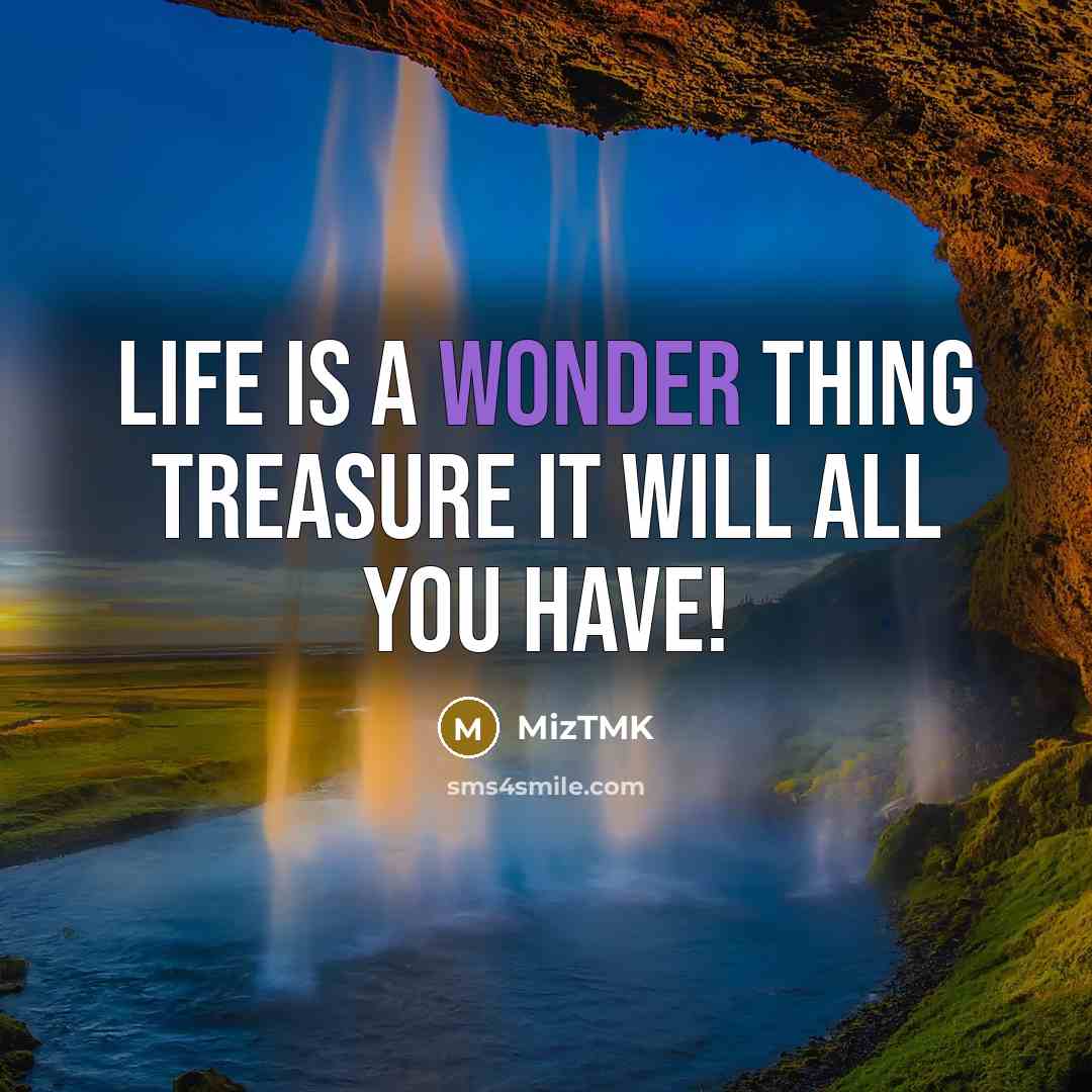 “Life is a wonder thing treasure it will all you…” quote by MizTMK