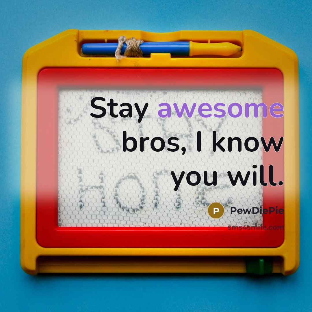 “Stay awesome bros, I know you will.…” quote by PewDiePie