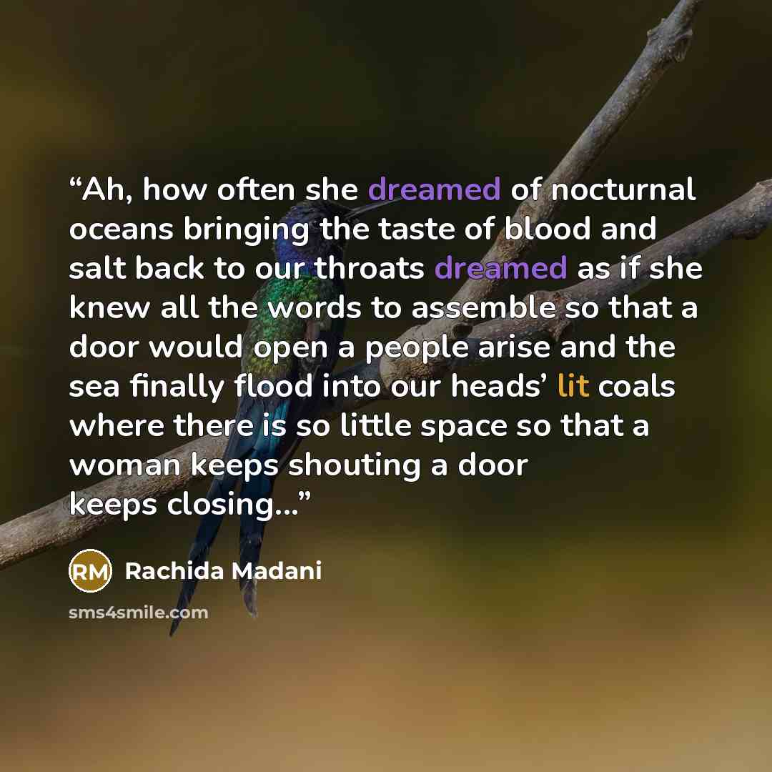 “Ah, how often she dreamed of nocturnal oceans bringing the taste of blood and salt back to our throats dreamed as if she knew all the words to assemble so that a door would open a people arise and the sea finally flood into our heads’ lit coals where there is so little space so that a woman keeps…” quote by Rachida Madani