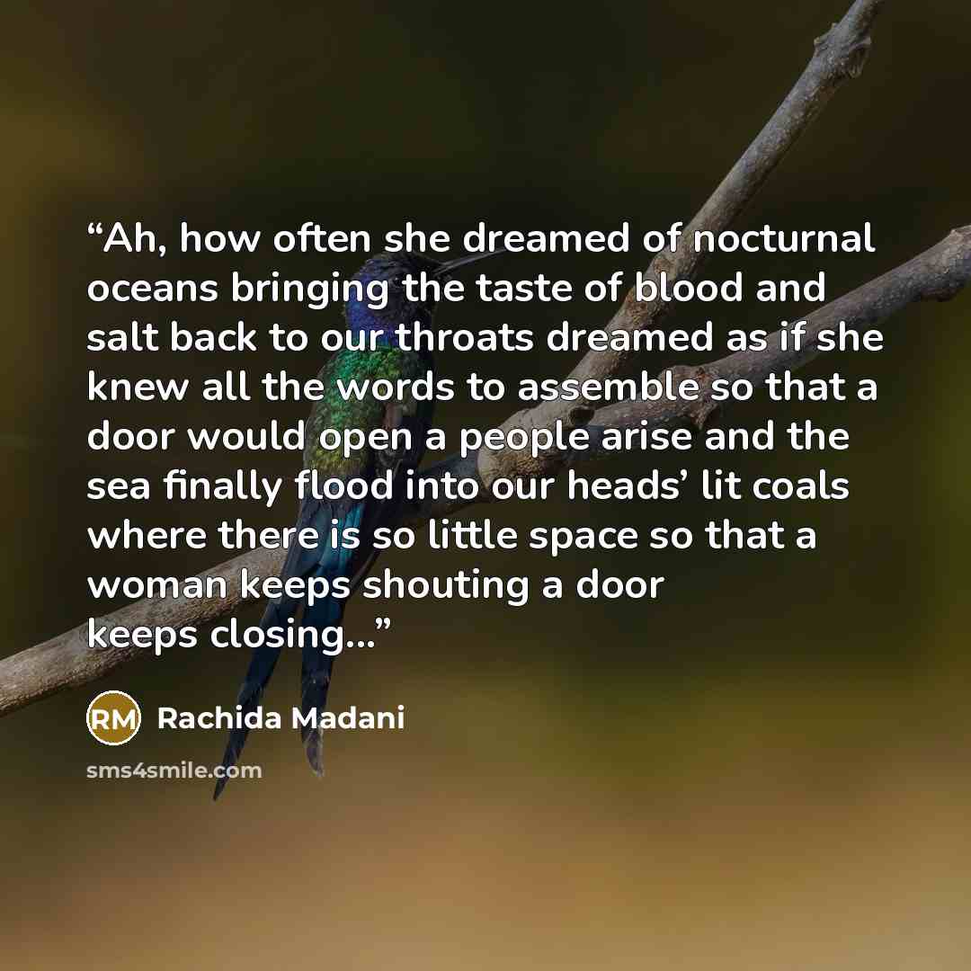 “Ah, how often she dreamed of nocturnal oceans bringing the taste of blood and salt back to our throats dreamed as if she knew all the words to assemble so that a door would open a people arise and the sea finally flood into our heads’ lit coals where there is so little space so that a woman keeps…” quote by Rachida Madani