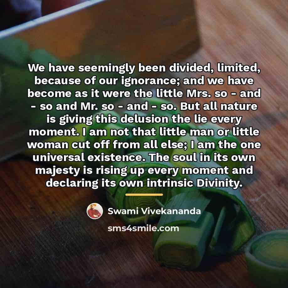 “We have seemingly been divided, limited, because of our ignorance;…” quote by Swami Vivekananda