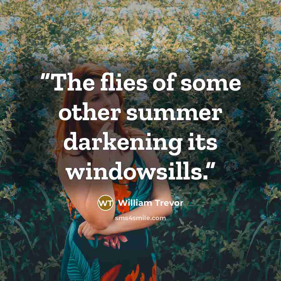 “The flies of some other summer darkening its windowsills.” quote by William Trevor