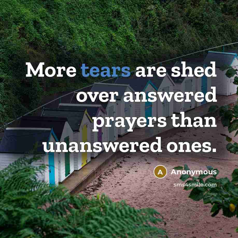 “More tears are shed over answered prayers than unanswered ones.…” quote by Anonymous