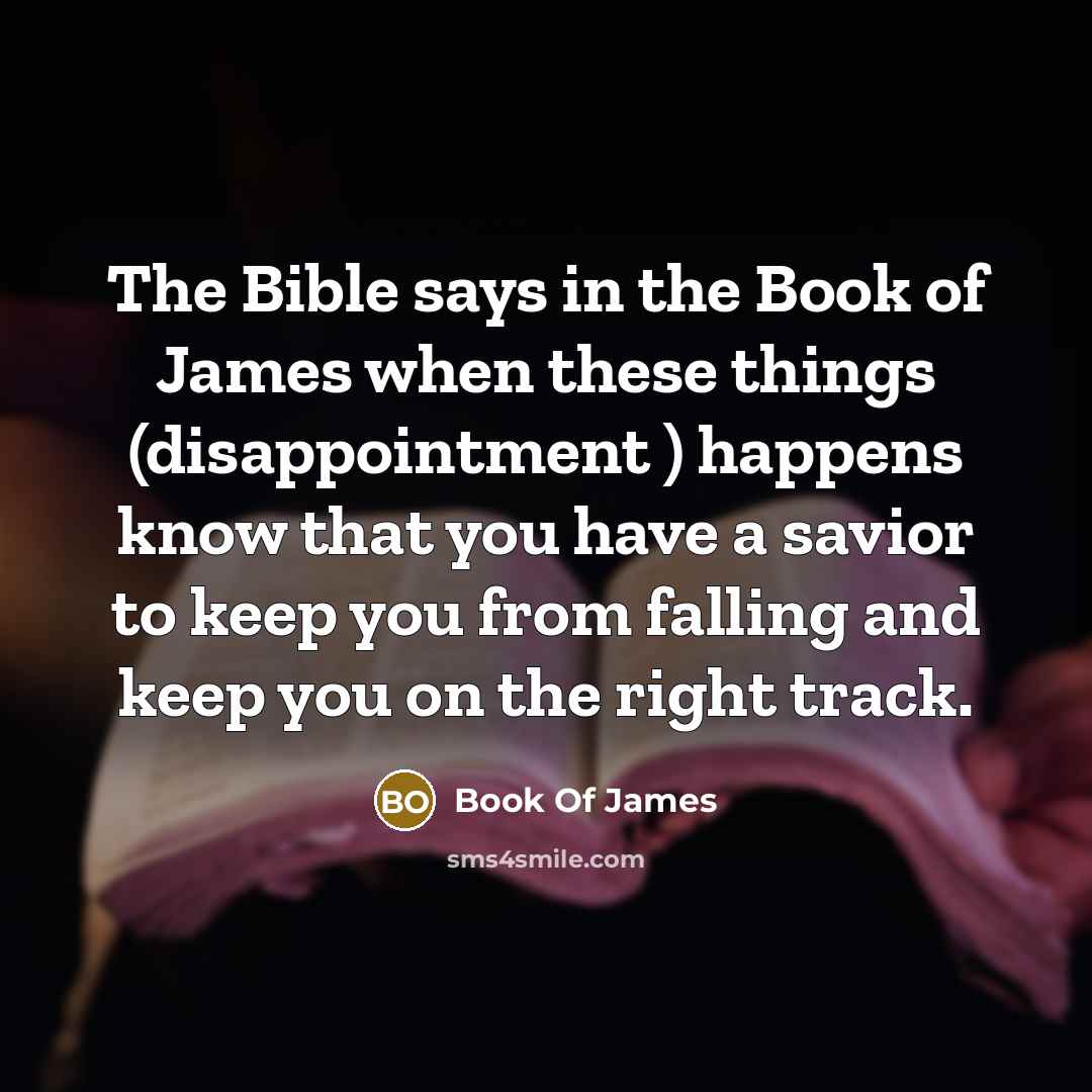 “The Bible says in the Book of James when these things (disappointment ) happens know that you have a savior to keep you from falling and keep you on the right track.” quote by Book Of James