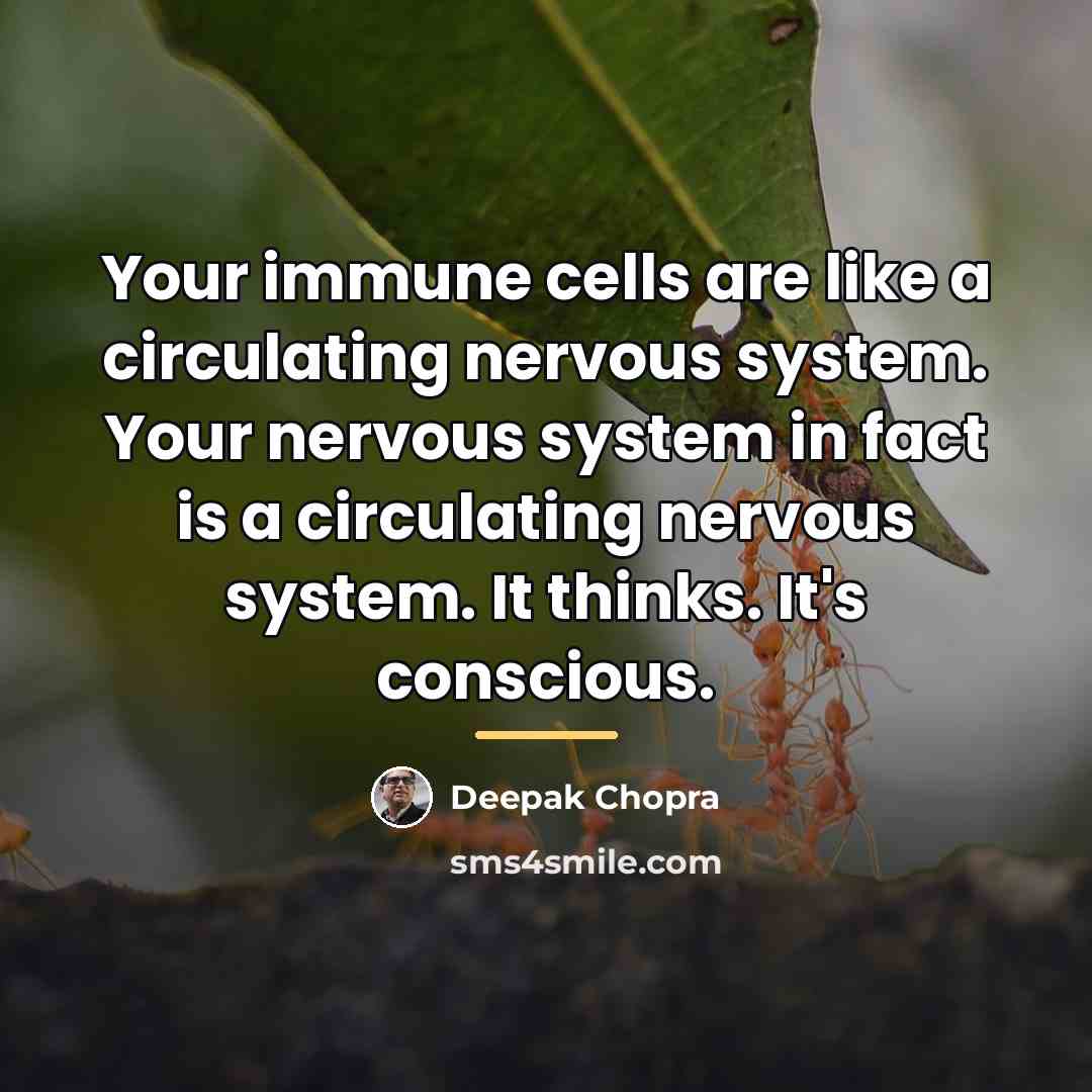 “Your immune cells are like a circulating nervous system. Your…” quote by Deepak Chopra