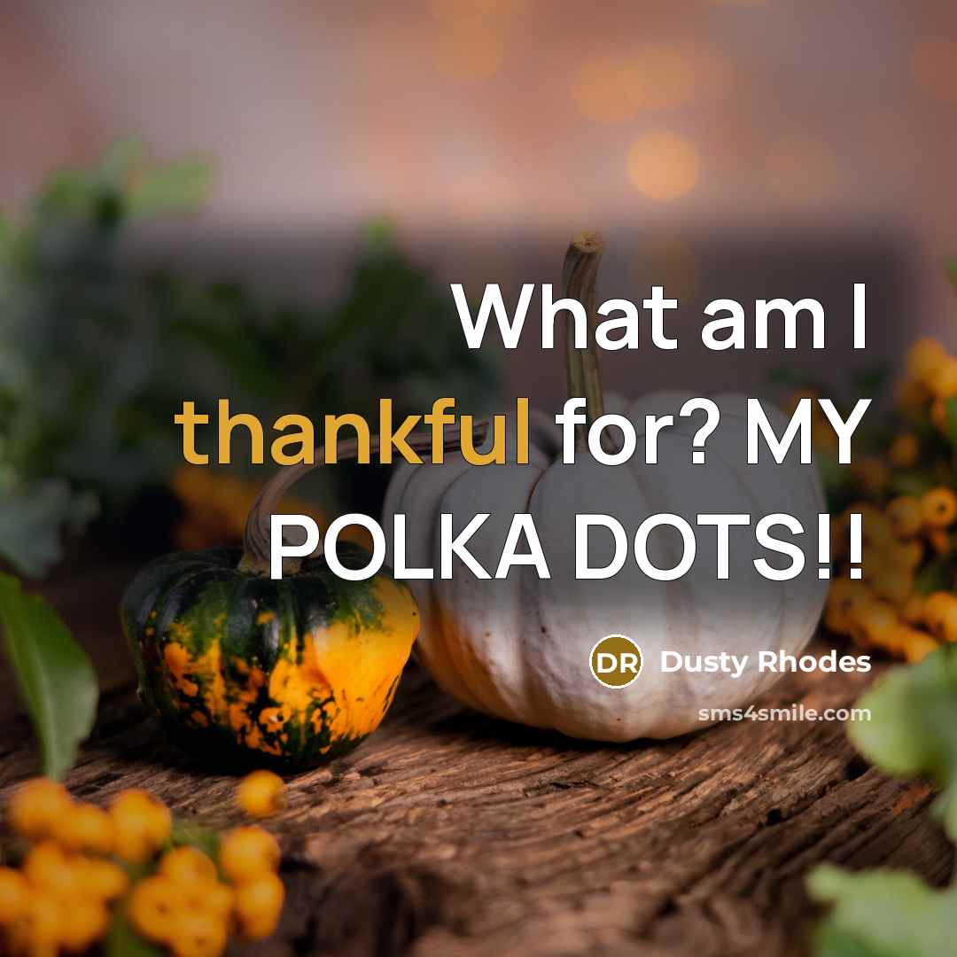 “What am I thankful for? MY POLKA DOTS!!…” quote by Dusty Rhodes