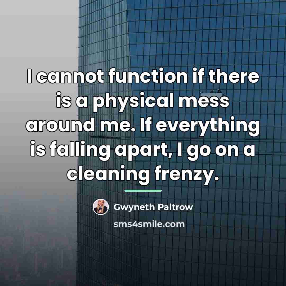 “I cannot function if there is a physical mess around…” quote by Gwyneth Paltrow
