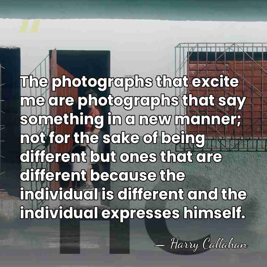 The photographs that excite me are photographs that say something in a&hellip; - Harry Callahan