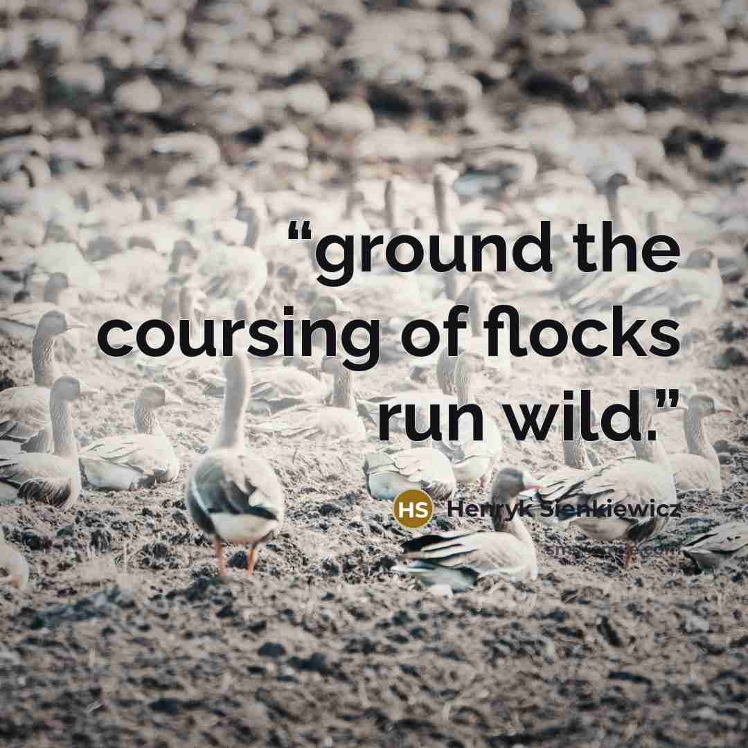 “ground the coursing of flocks run wild.” quote by Henryk Sienkiewicz