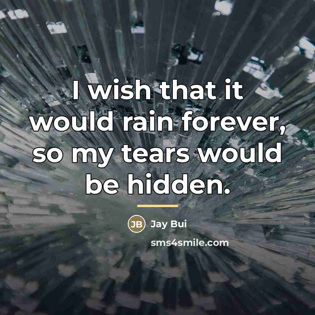 “I wish that it would rain forever, so my tears…” quote by Jay Bui