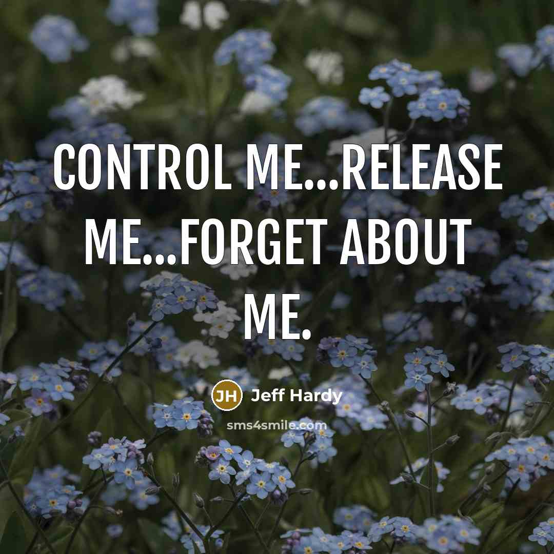“Control me...release me...forget about me.” quote by Jeff Hardy