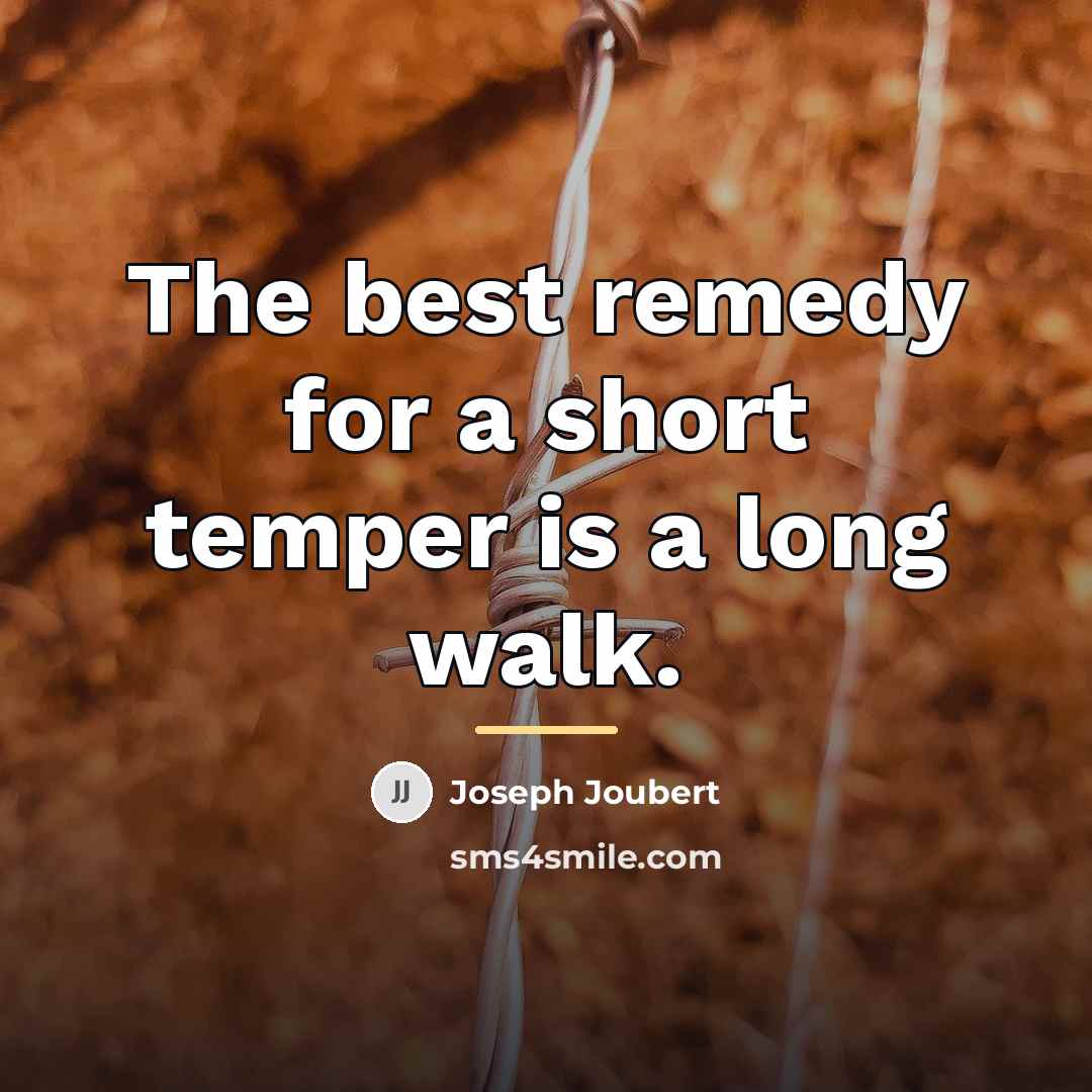“The best remedy for a short temper is a long…” quote by Joseph Joubert