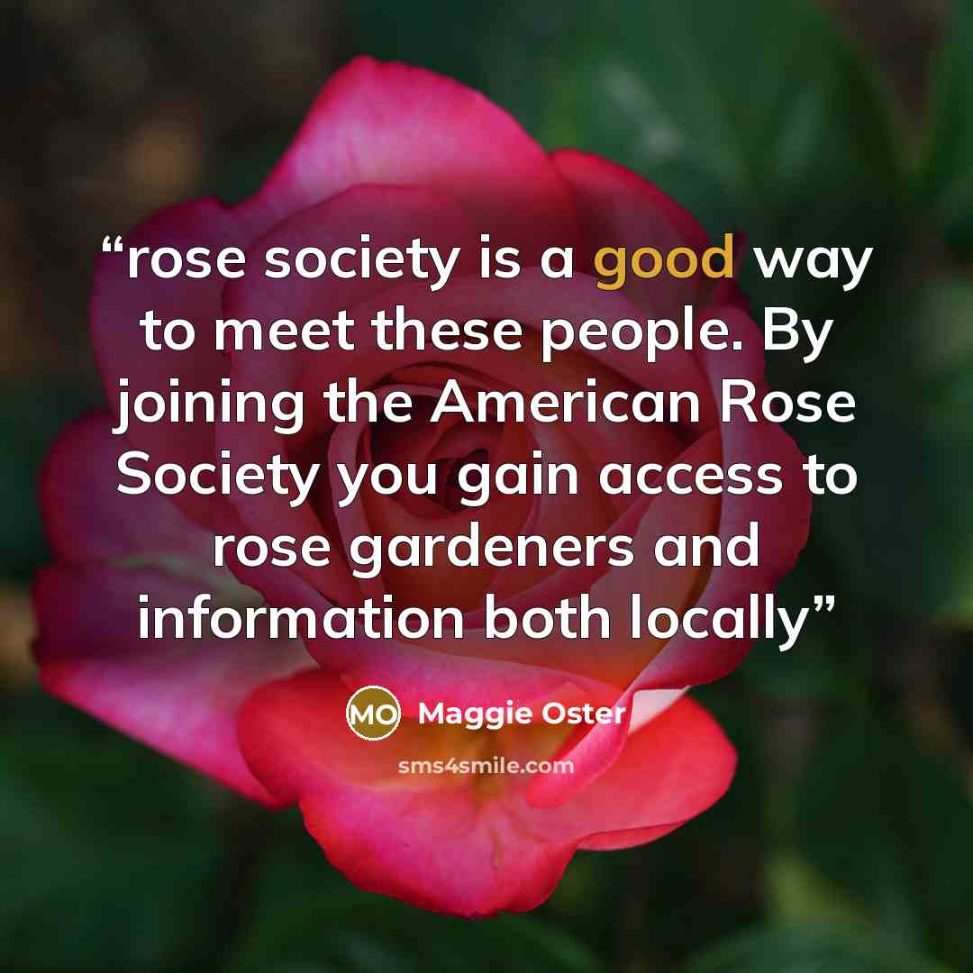 “rose society is a good way to meet these people. By joining the American Rose Society you gain access to rose gardeners and information both locally” quote by Maggie Oster