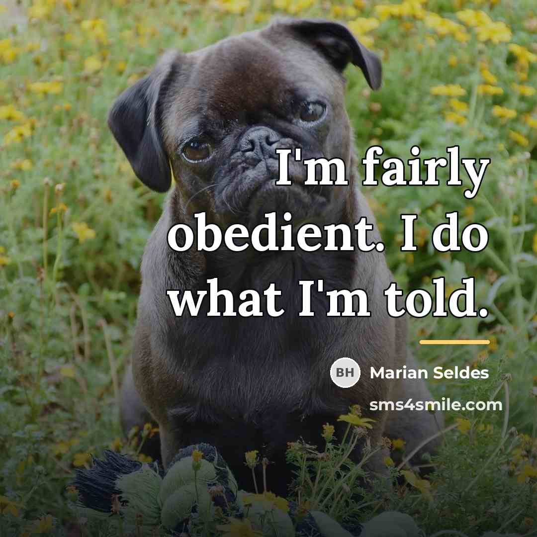 “I'm fairly obedient. I do what I'm told.…” quote by Marian Seldes