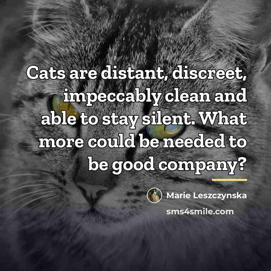 “Cats are distant, discreet, impeccably clean and able to stay…” quote by Marie Leszczynska