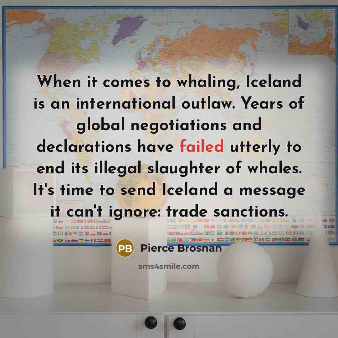 “When it comes to whaling, Iceland is an international outlaw.…” quote by Pierce Brosnan