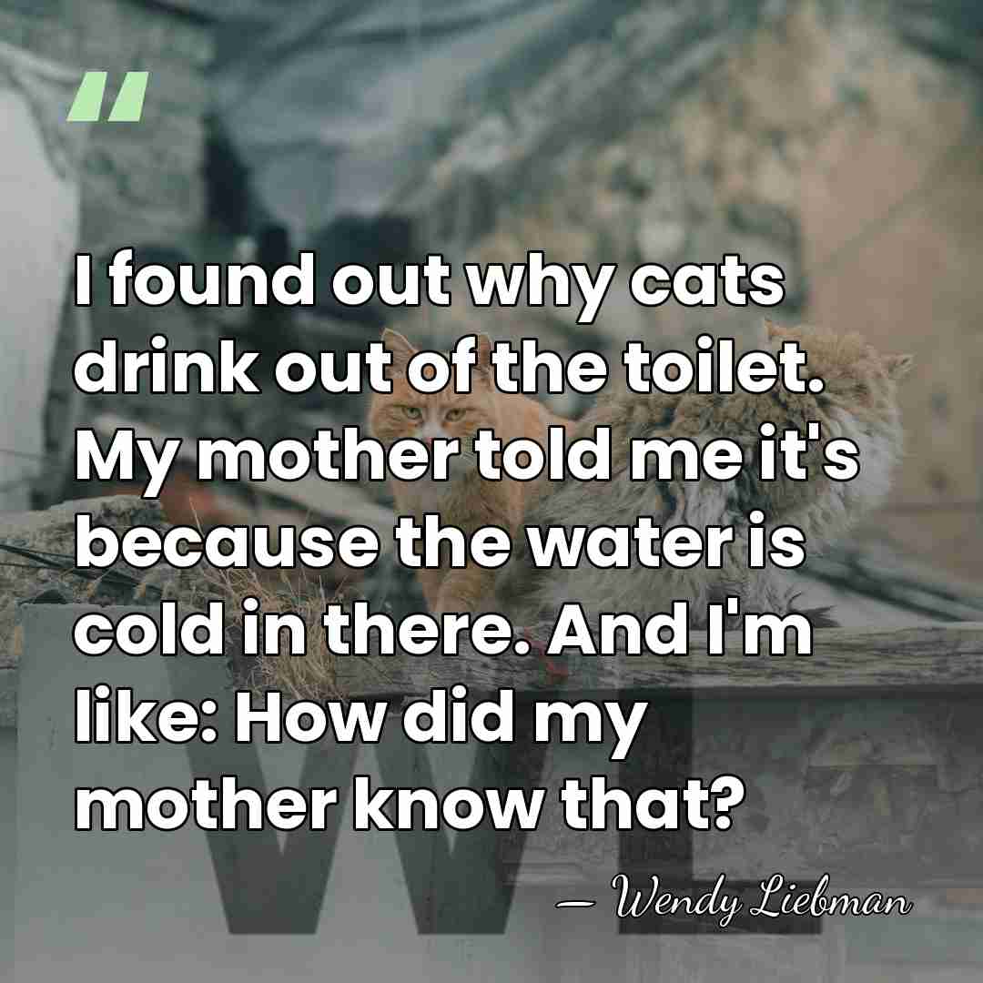 I found out why cats drink out of the toilet. My mother&hellip; - Wendy Liebman