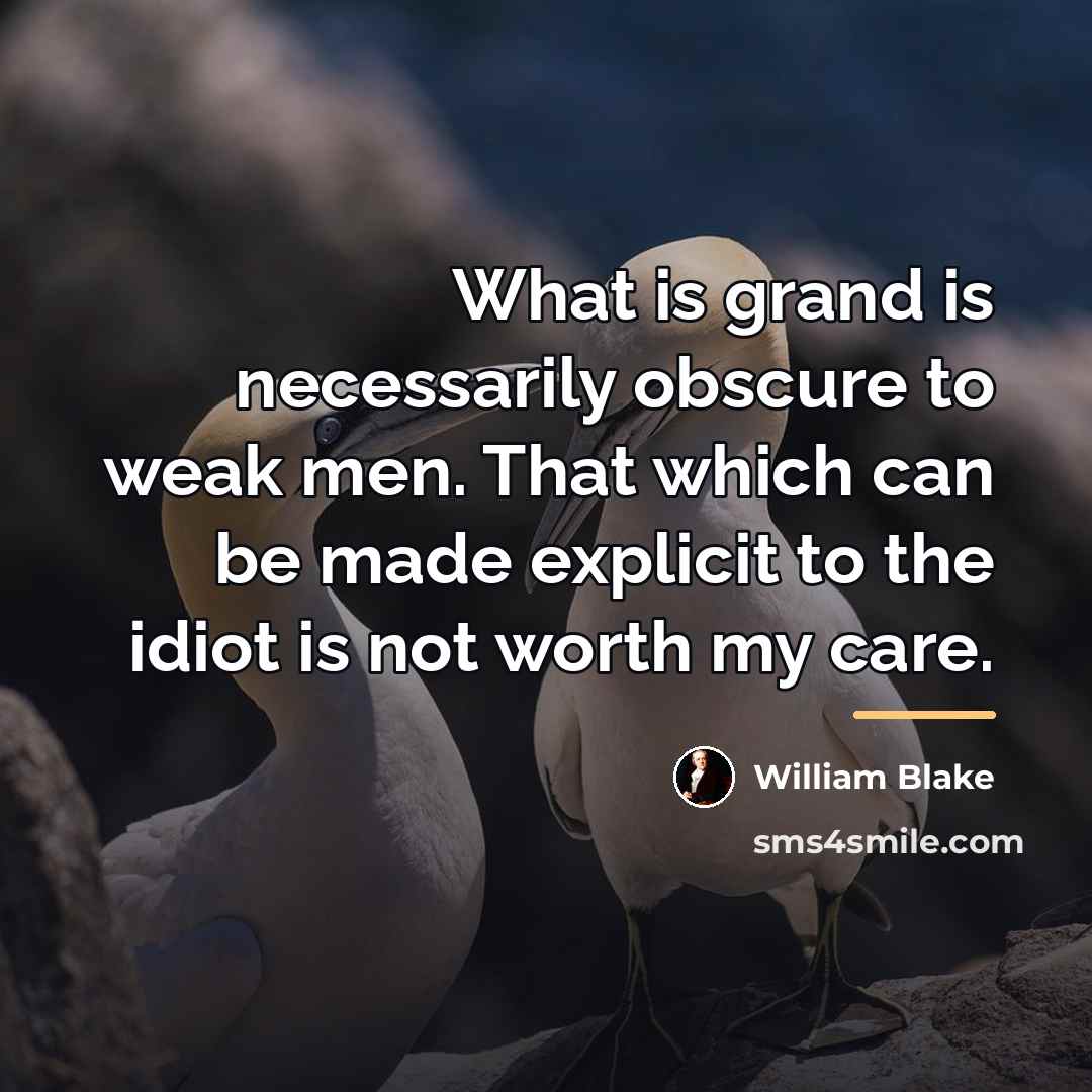 “What is grand is necessarily obscure to weak men. That…” quote by William Blake