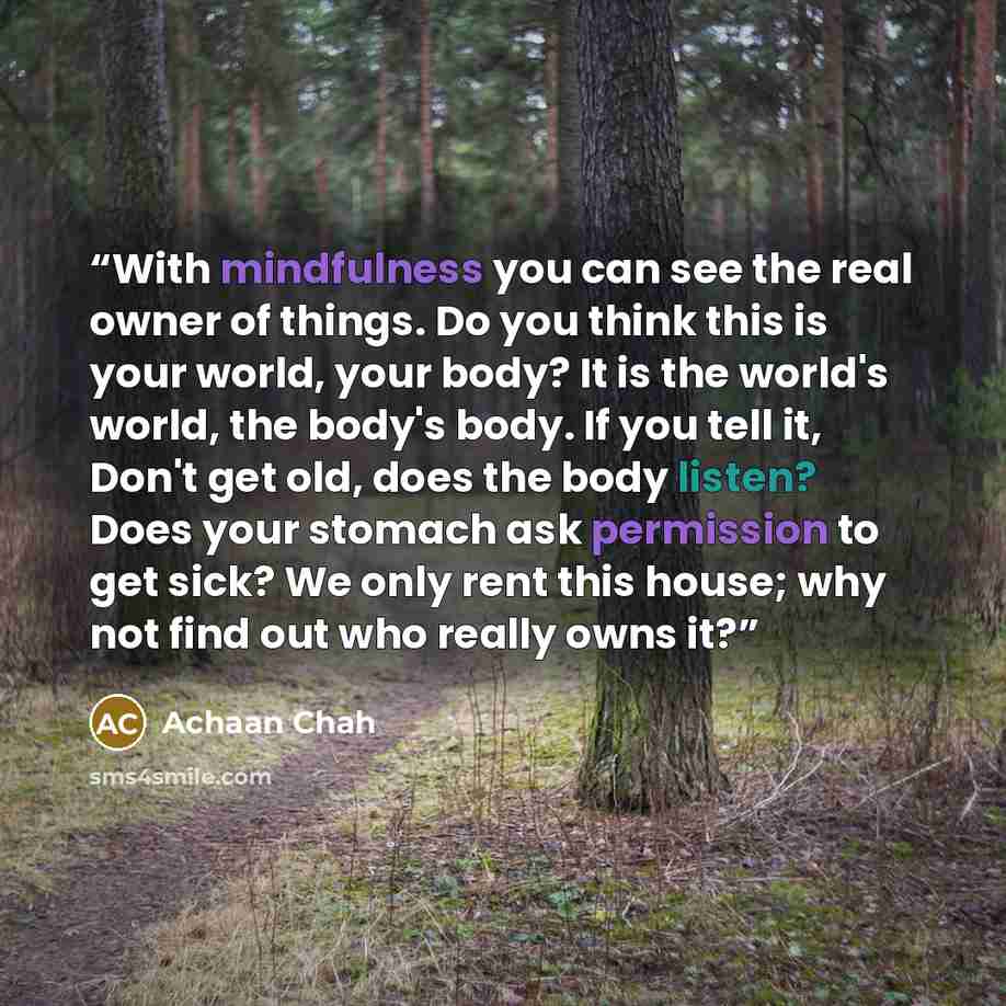 “With mindfulness you can see the real owner of things. Do you think this is your world, your body? It is the world's world, the body's body. If you tell it, Don't get old, does the body listen? Does your stomach ask permission to get sick? We only rent this house; why not find out who really owns…” quote by Achaan Chah