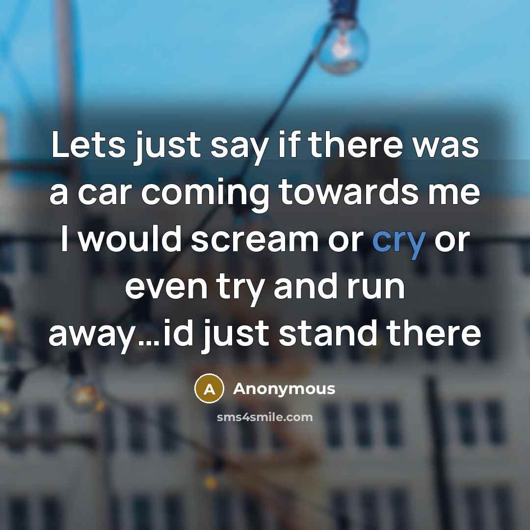 “Lets just say if there was a car coming towards…” quote by Anonymous