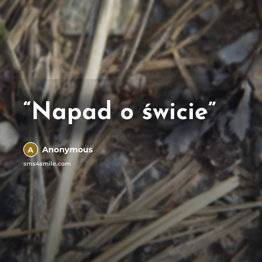 “Napad o świcie” quote by Anonymous