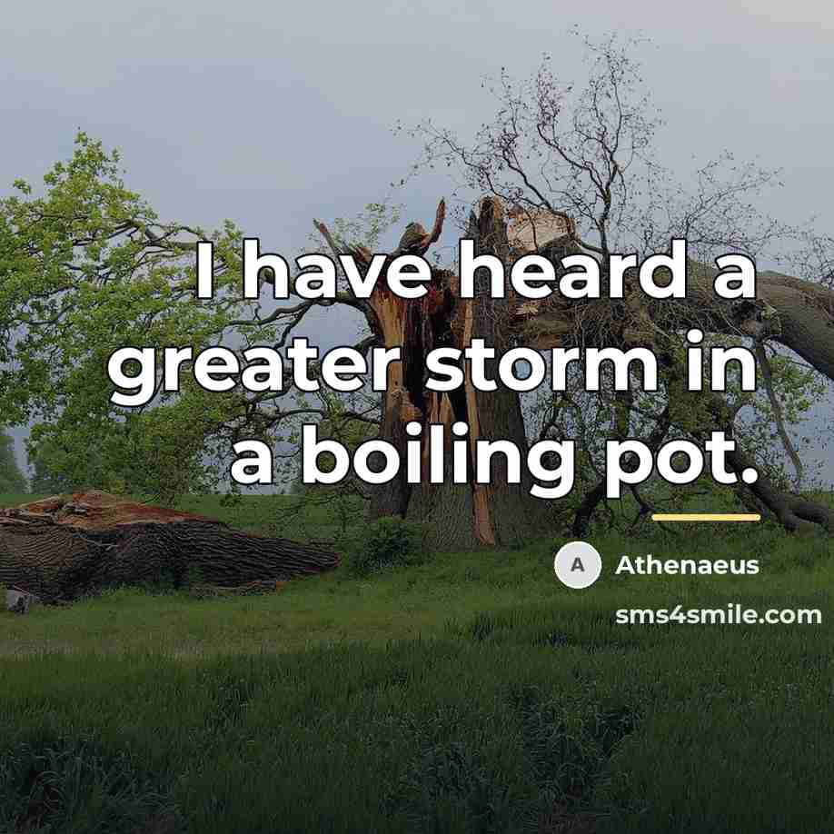 “I have heard a greater storm in a boiling pot.…” quote by Athenaeus