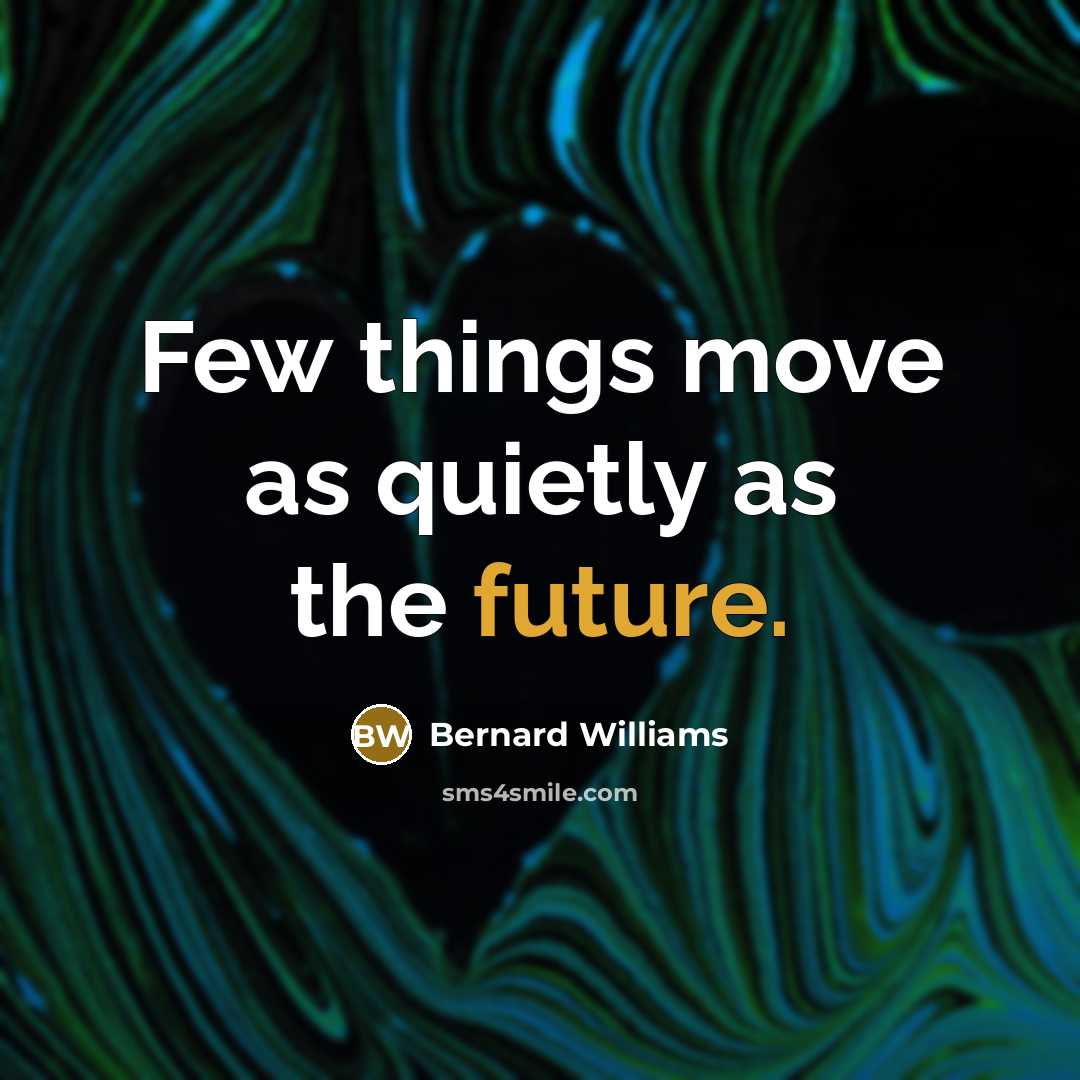 “Few things move as quietly as the future.…” quote by Bernard Williams
